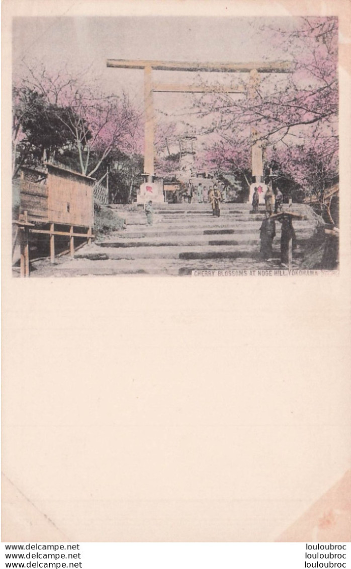 YOKOHAMA CHERRY  BLOSSOMS AT NOGE HILL