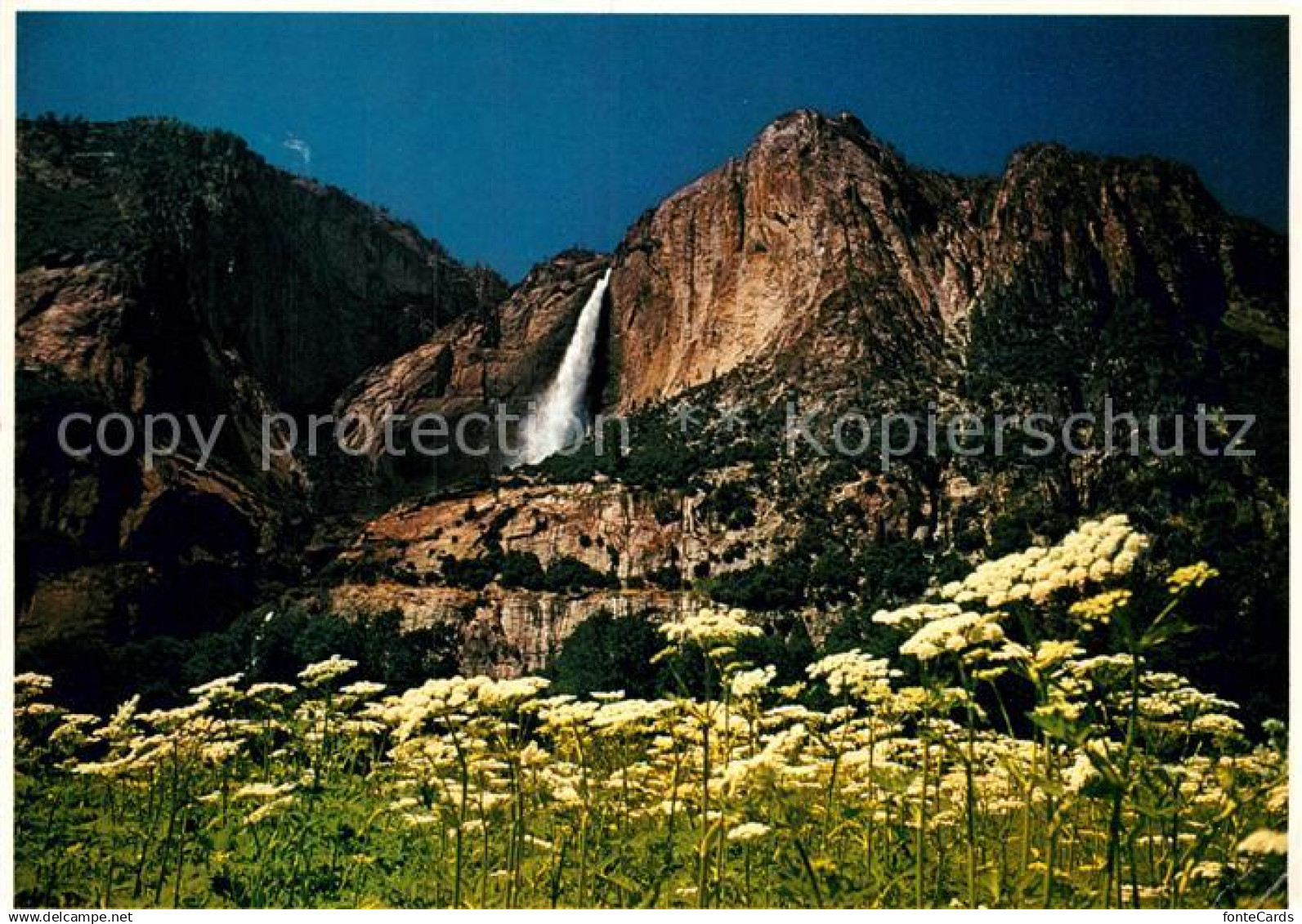 Yosemite National Park Yosemite Fall