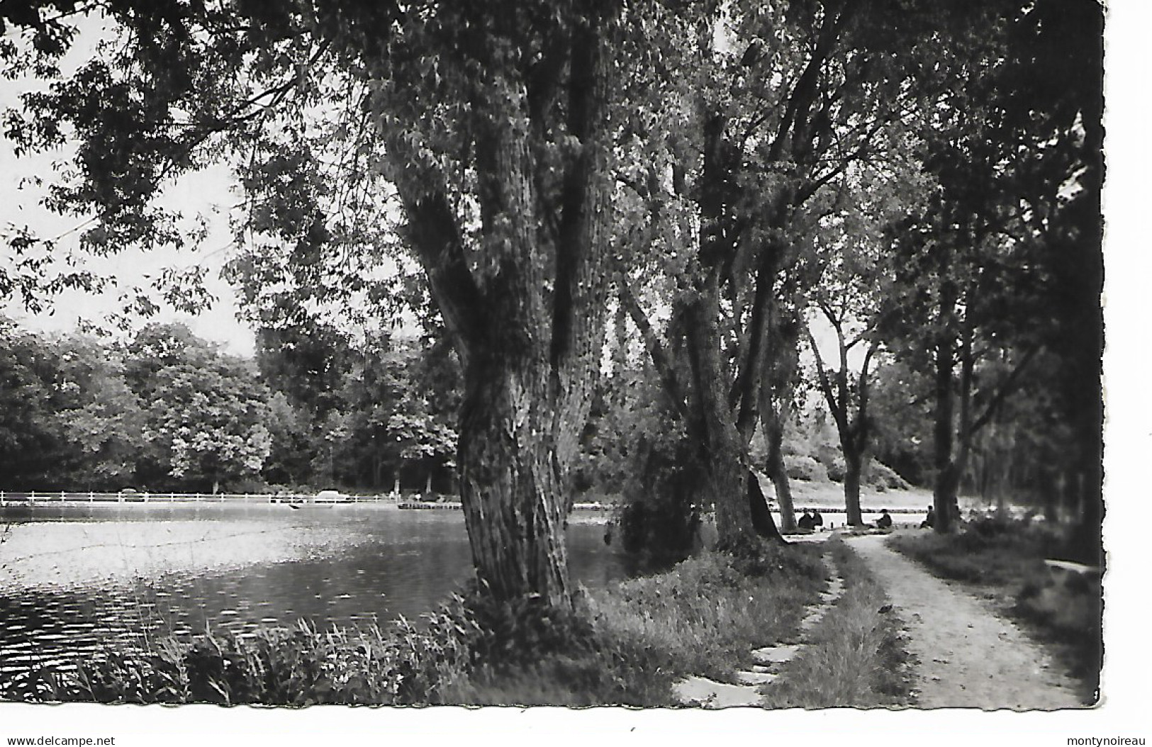 Yvelines : ST REMY lès Chevreuse  : promenade  autour  lac