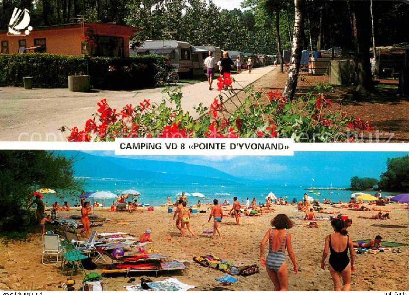 Yvonand Camping VD 8 Pointe d Yvonand Le camp et sa plage