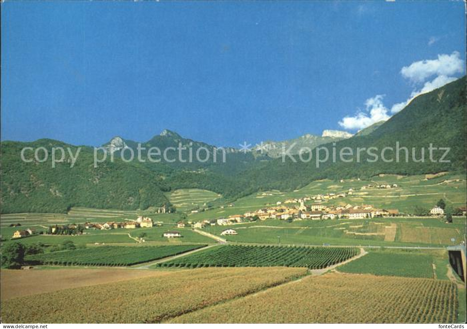 Yvorne Panorama