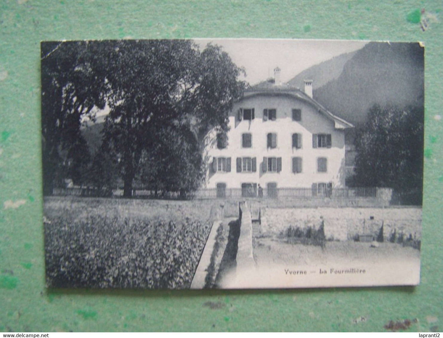 YVORNE. SUISSE. LA FOURMILIERE.