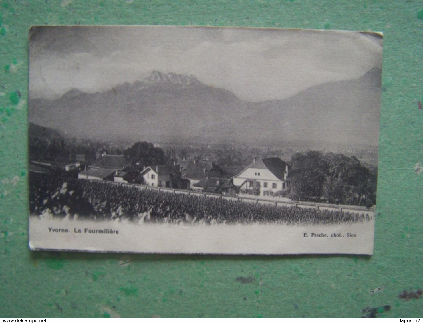 YVORNE. SUISSE. LA FOURMILIERE.