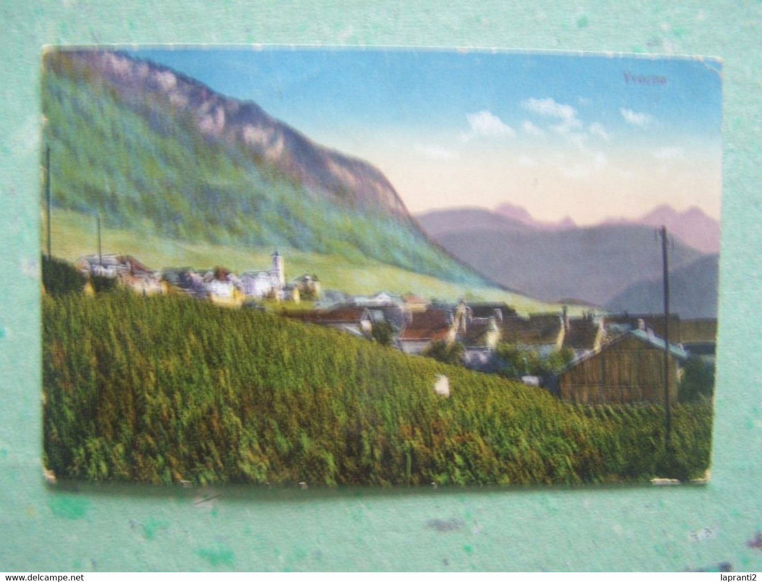 YVORNE. SUISSE. LA VIGNE.