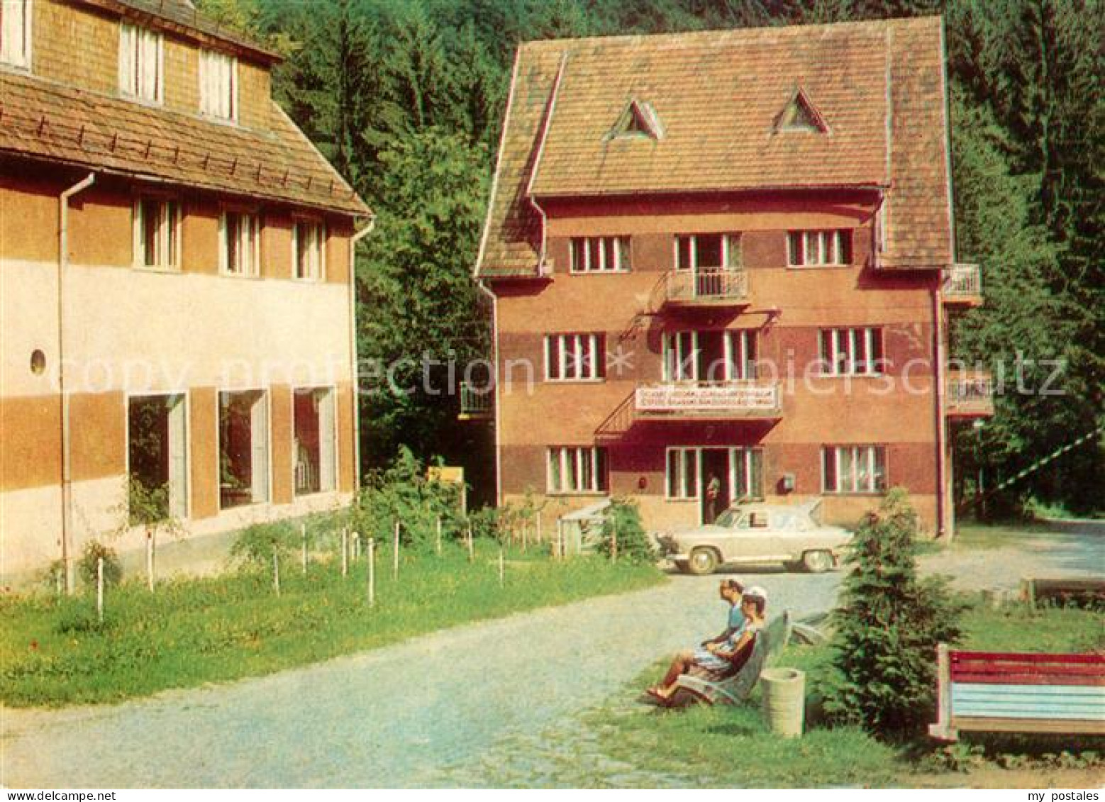 Zakarpatje Camping Forel