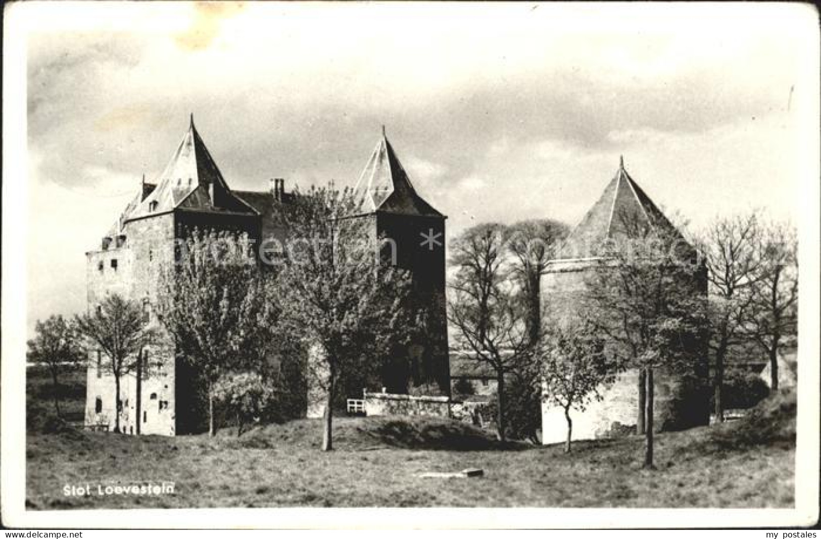 Zaltbommel Slot Loevestein Schloss