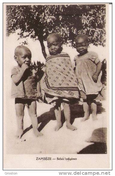 ZAMBEZE BEBES INDIGENES (BEAU PLAN)