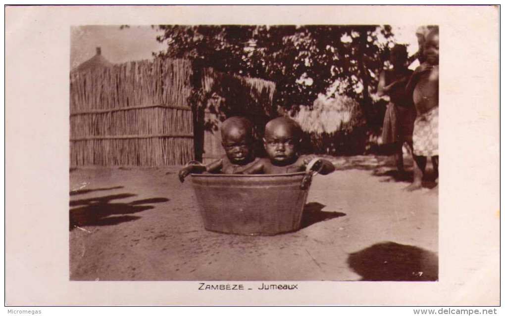 ZAMBEZE - Jumeaux