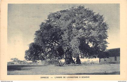 Zambia - SESHEKE - Livingston's tree - Publ. Society of Evangelical Missions (Paris, France)