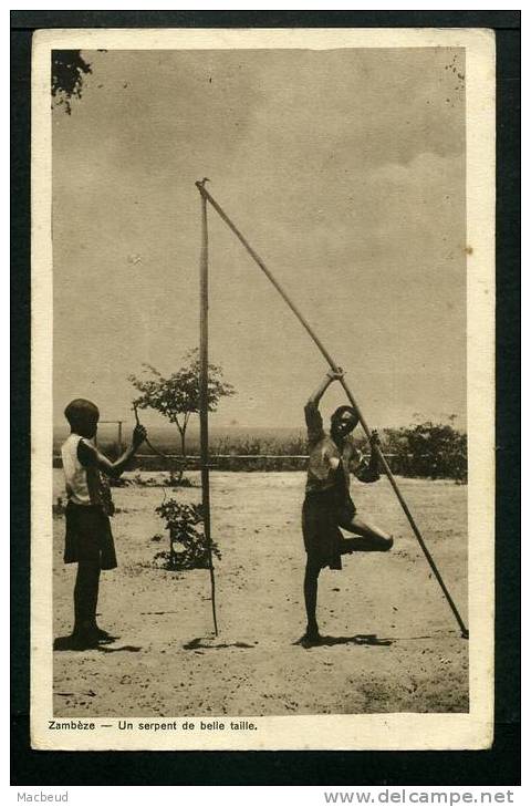 ZAMBIE - Un serpent de belle taille - SUPERBE CARTE ANIMÉE