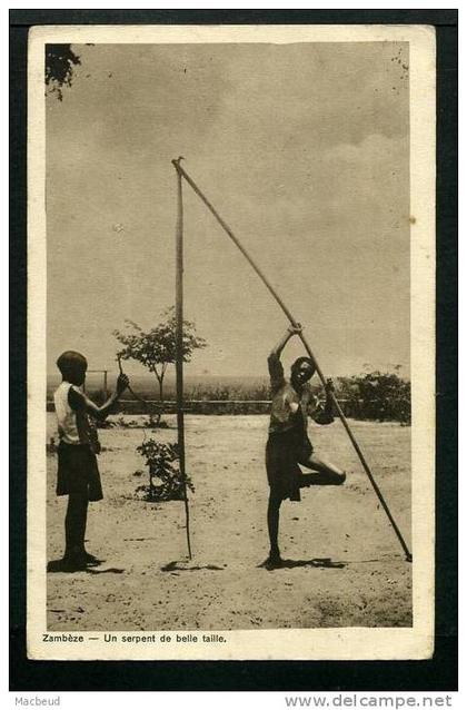 ZAMBIE - Un serpent de belle taille - SUPERBE CARTE ANIMÉE