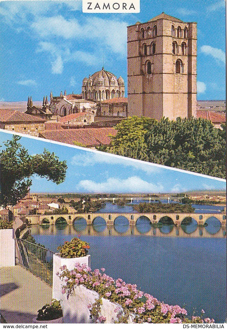 Zamora - Catedral y rio Duero