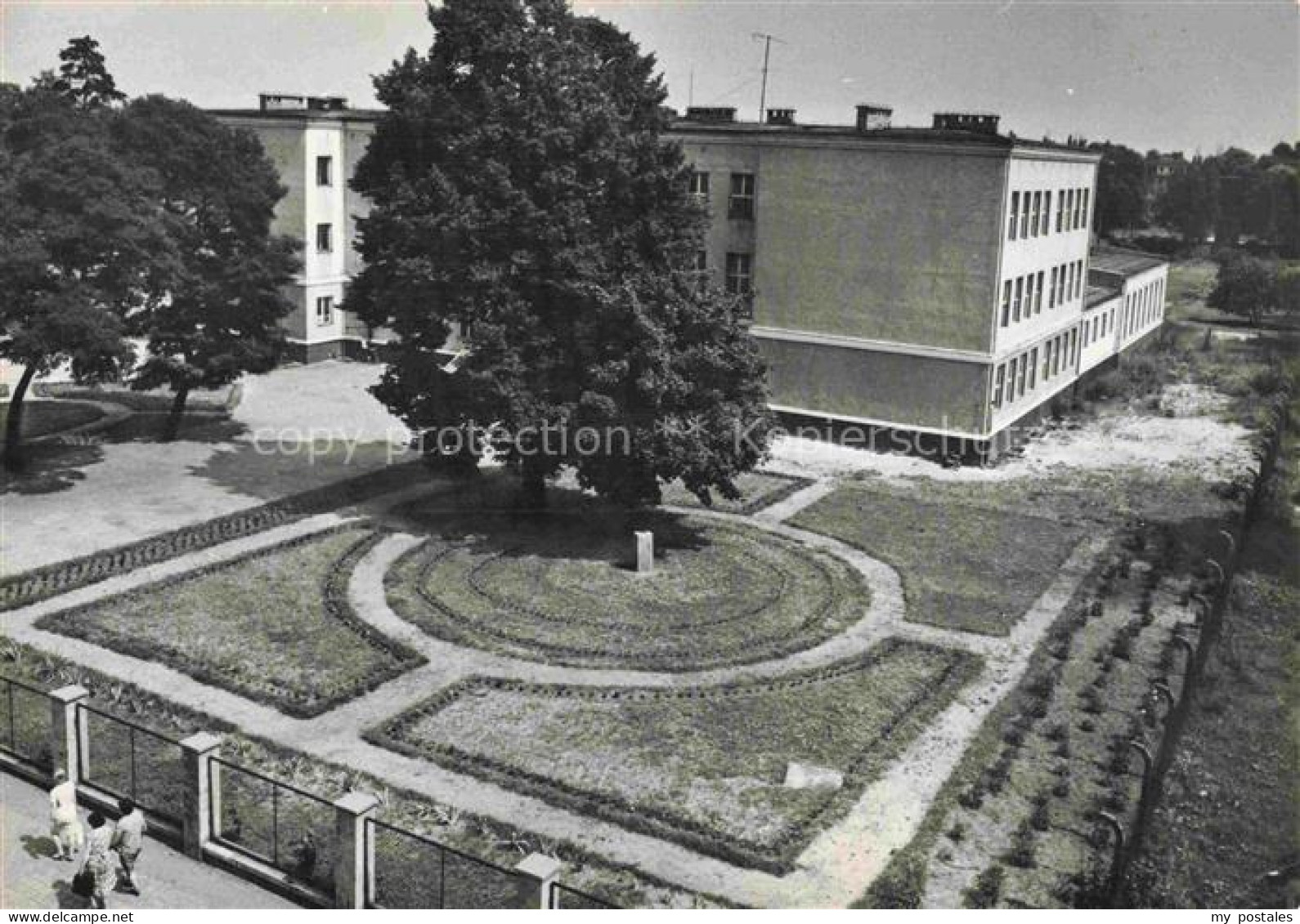 Zary Sorau Lebus PL Szkola Tysiaclecia