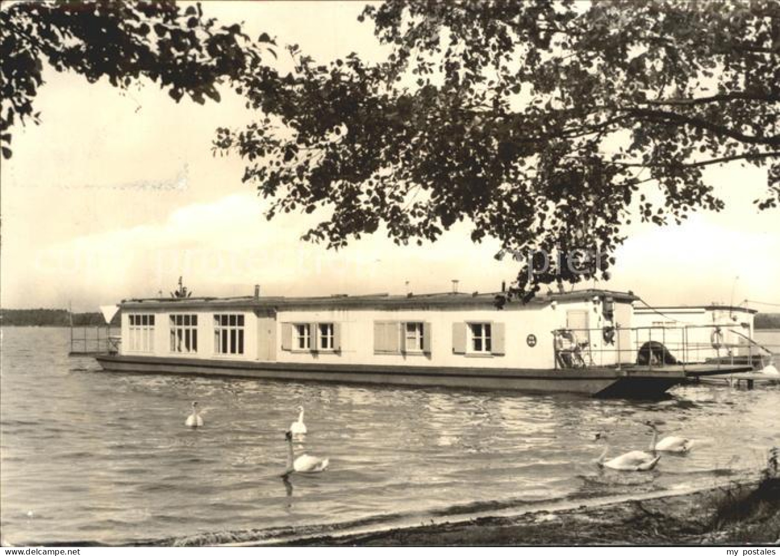 Zaue Wohnboote auf dem Schwielowsee