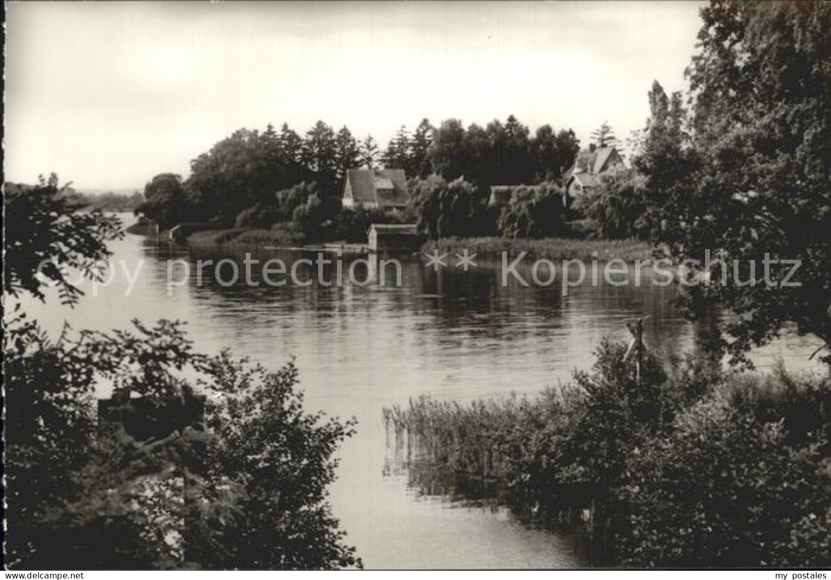 Zechlinerhuette Partie am Schlabornsee