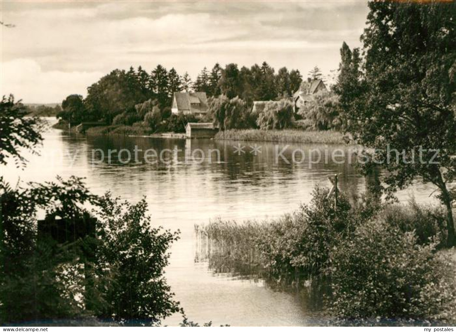Zechlinerhuette Uferpartie am Schlabornsee