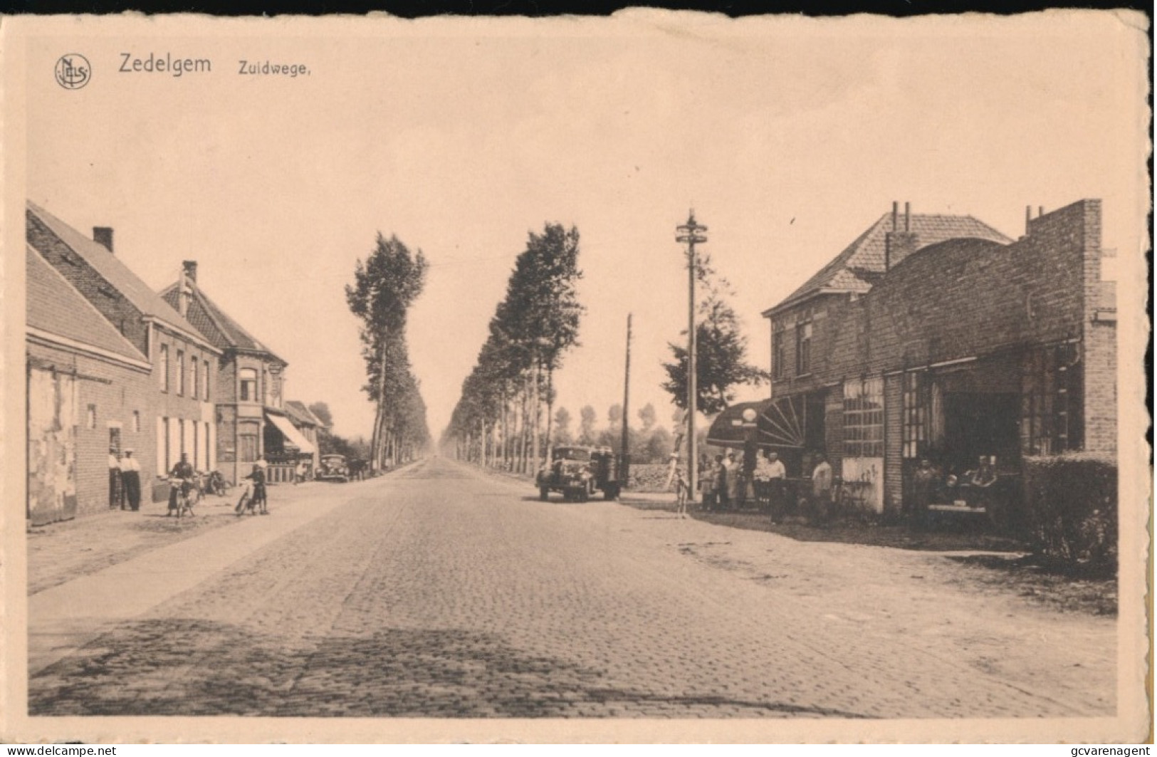 ZEDELGEM      ZUIDWEGE