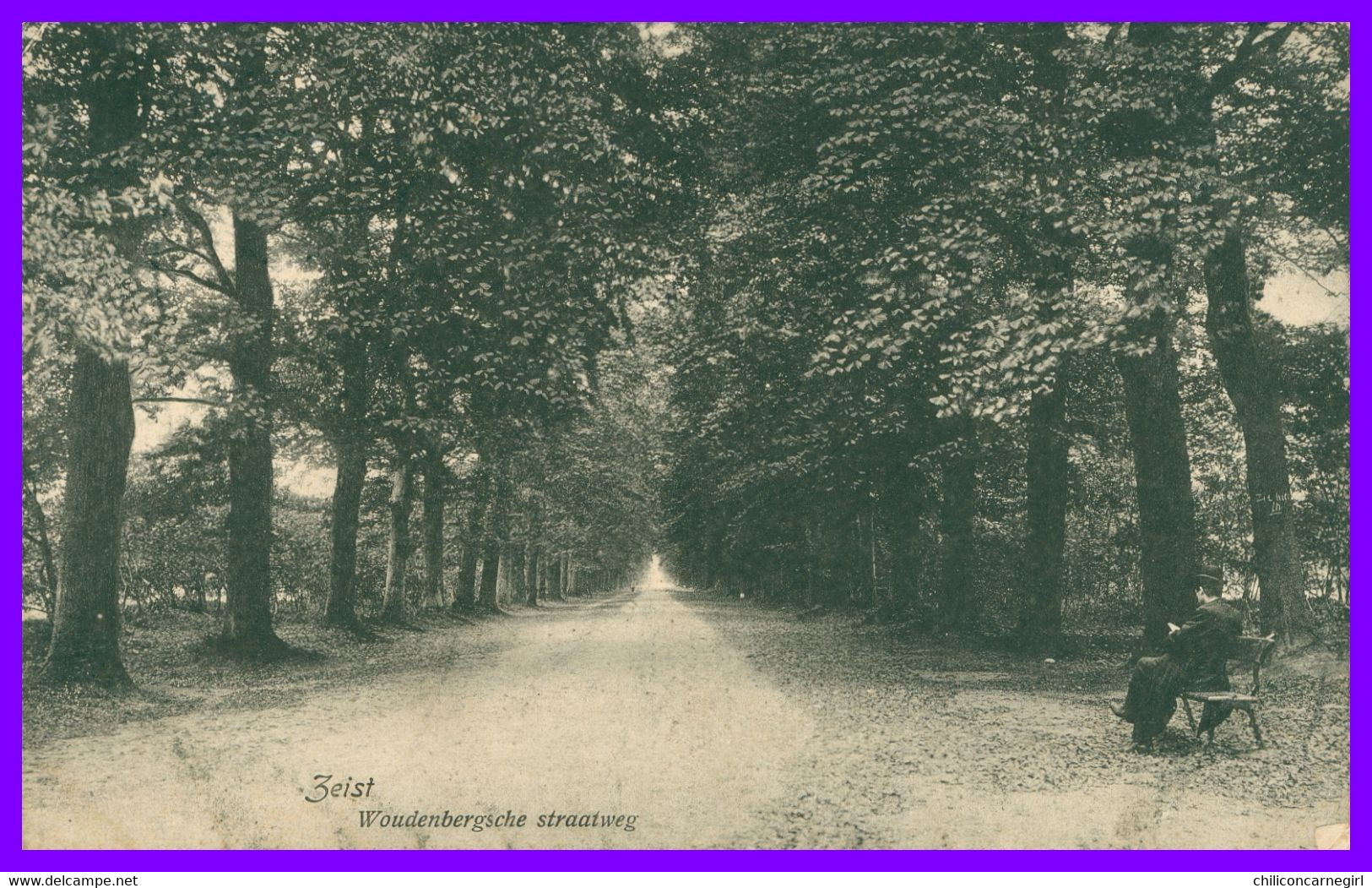 ZEIST - Woudenbergsche straatweg - Animée - Uitgave D.A. BOUMAN - Oblit. DELFT ZEIST 1910 + B 36