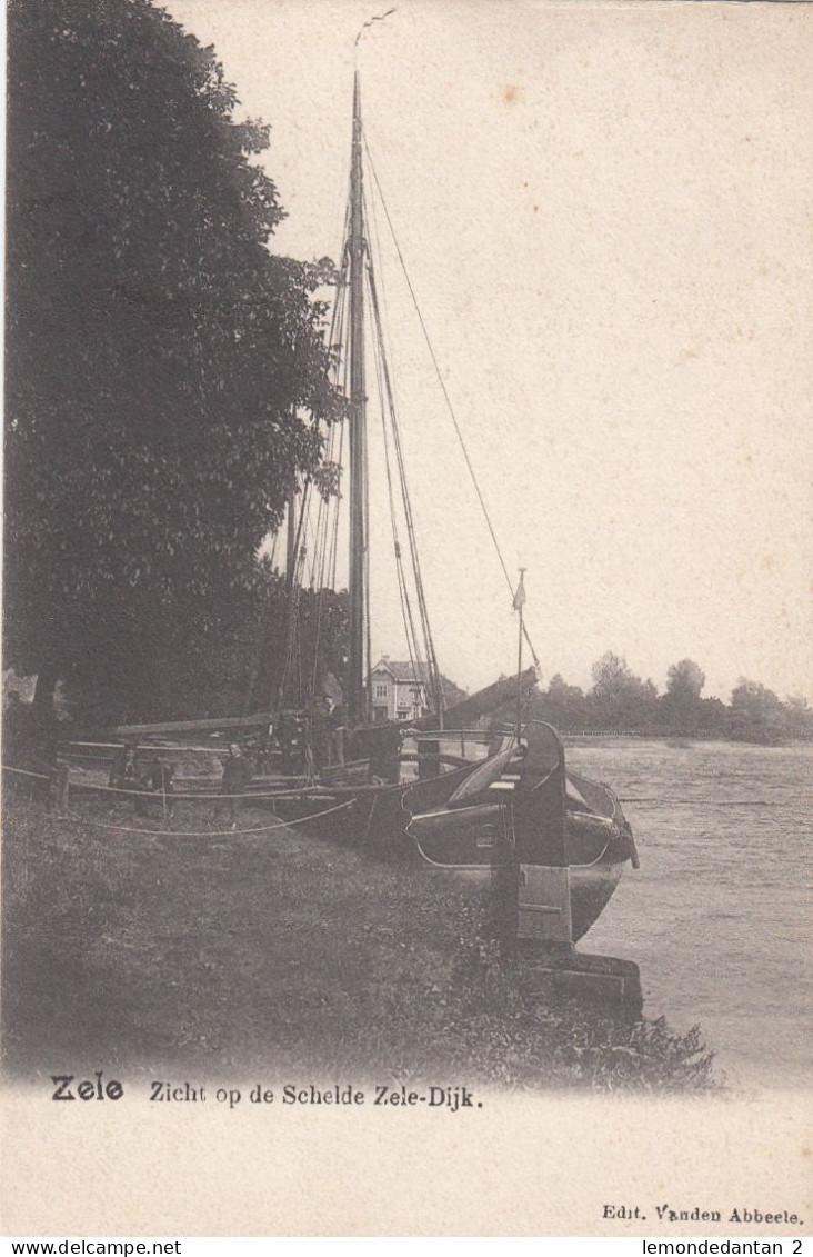 Zele - Zicht op de Schelde Zele-Dijk