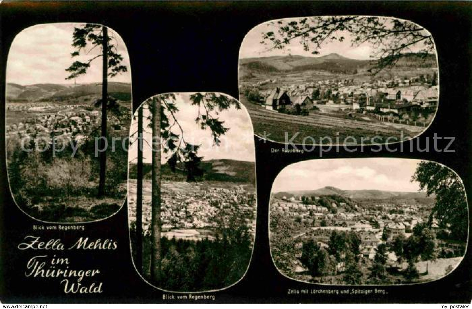 Zella-Mehlis Blick vom Regenberg Lorchenberg