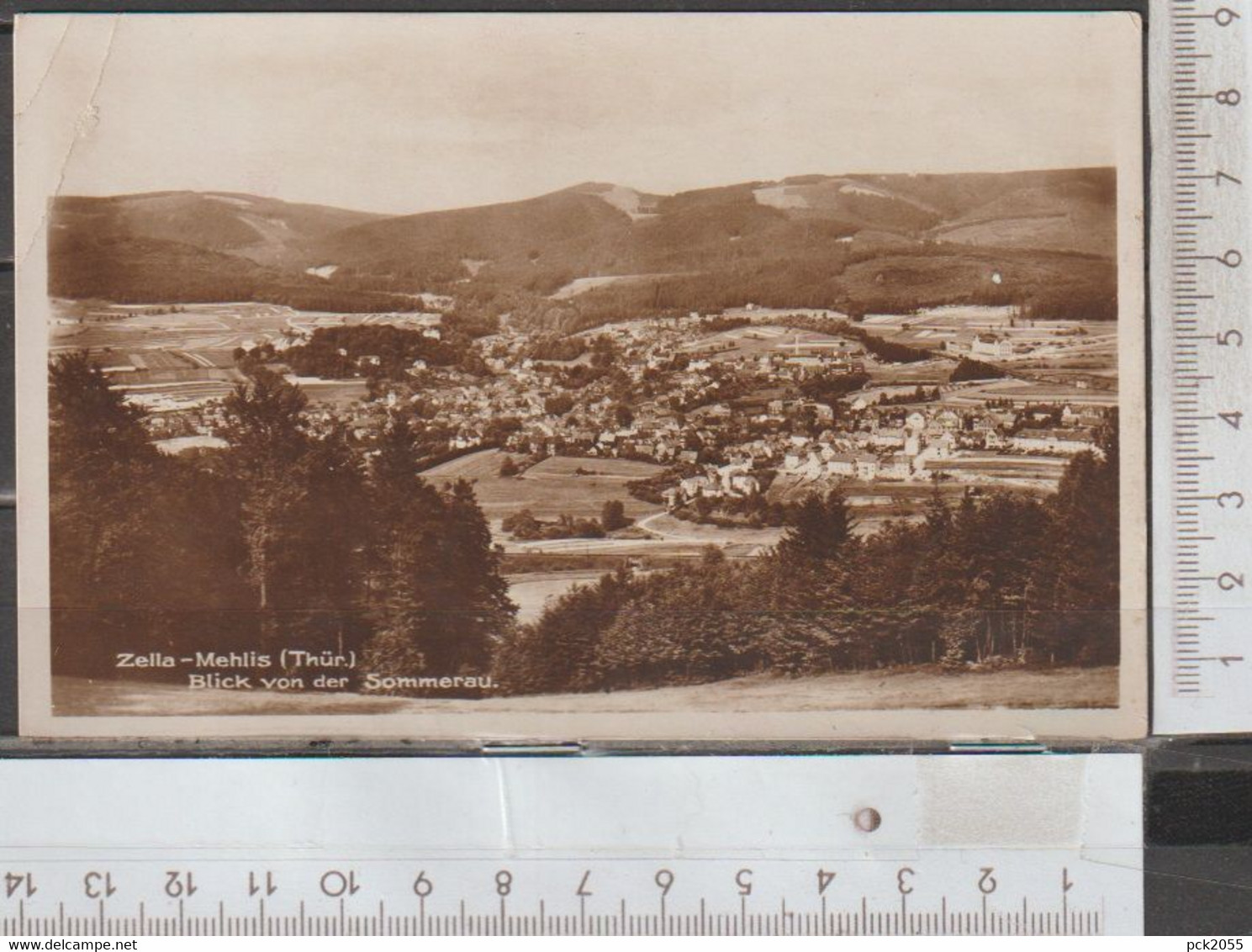 Zella-Mehlis Blick von der Sommerau gelaufen 1929 ( AK 2502 )