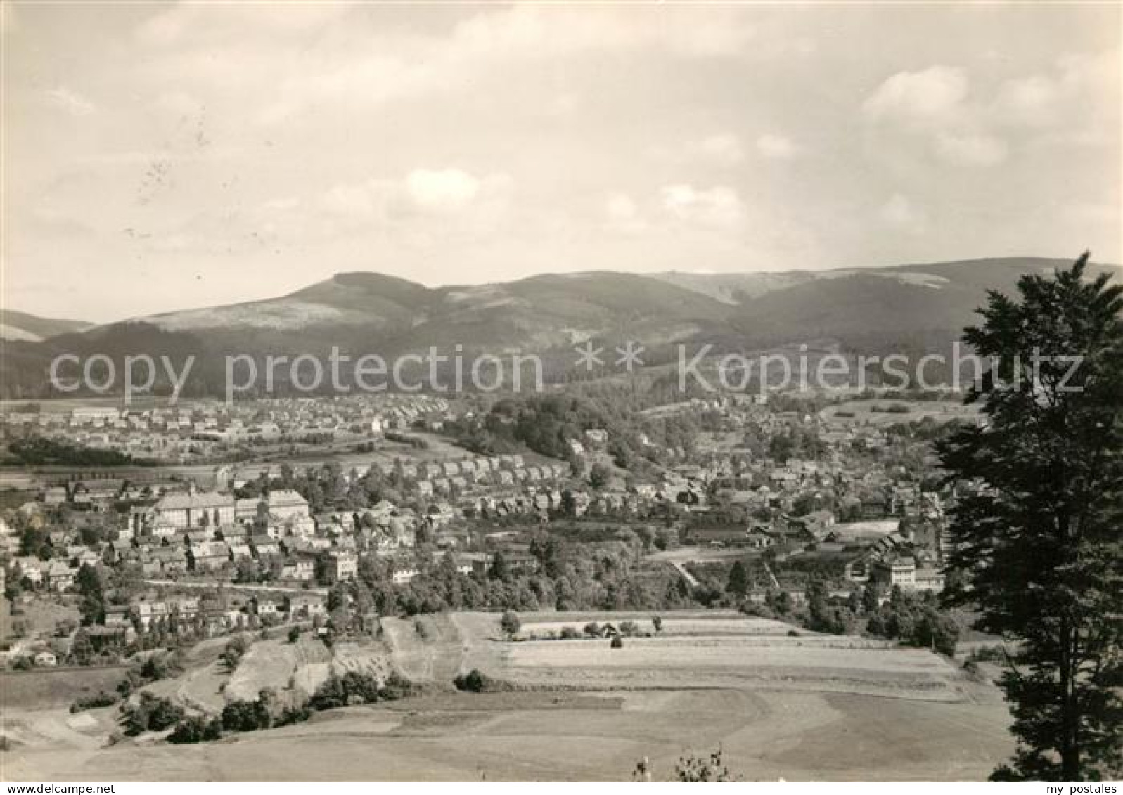 Zella-Mehlis Panorama