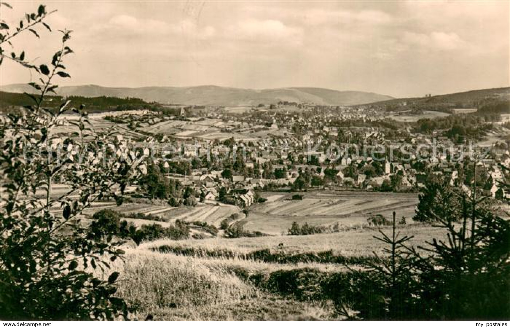 Zella-Mehlis Panorama Thueringer Wald