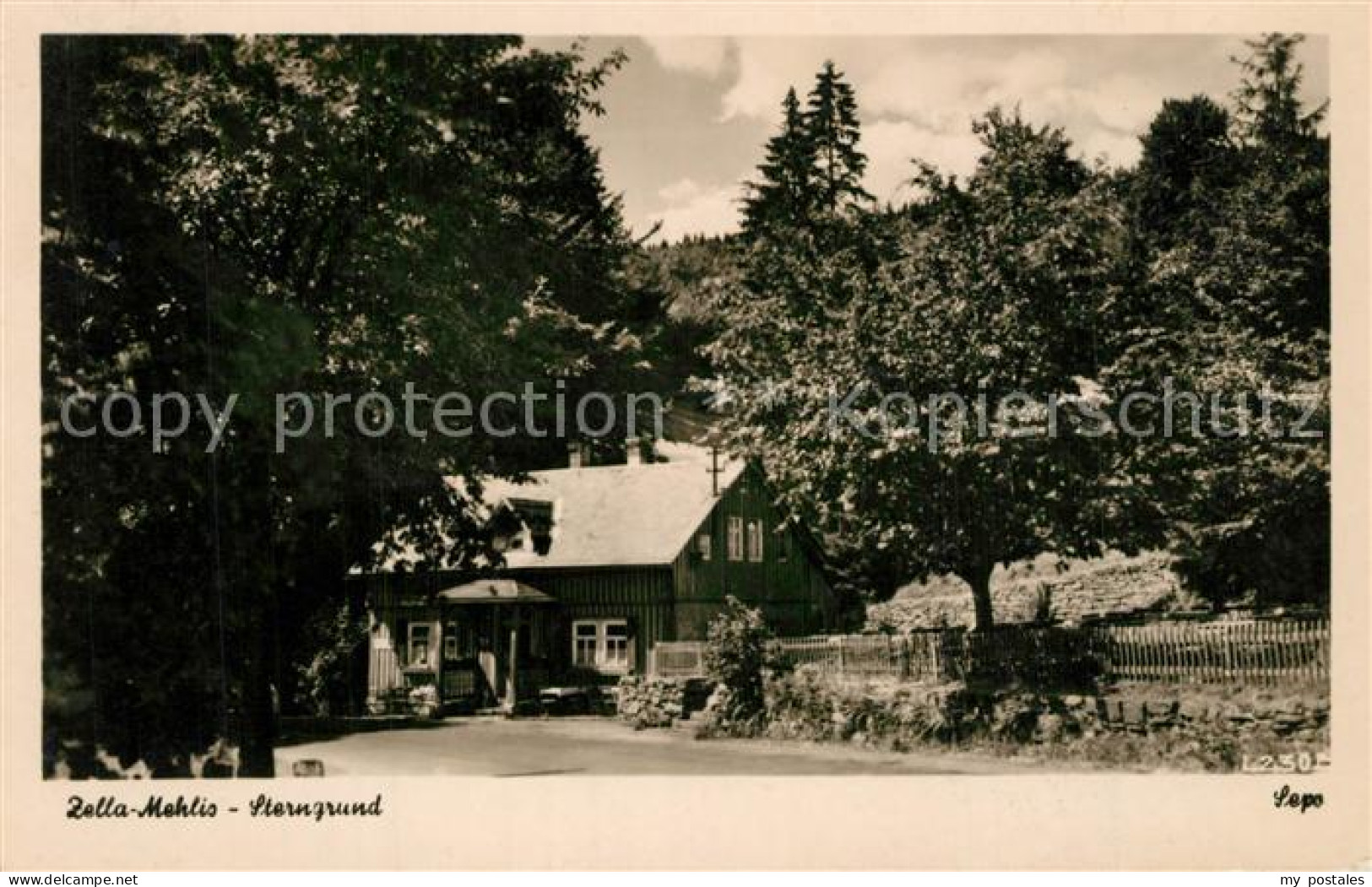 Zella-Mehlis Sterngrund