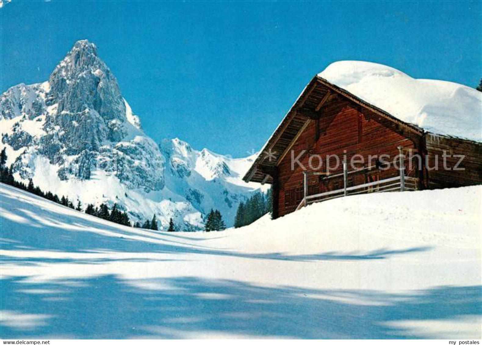 Zelzate Winterlandschaft