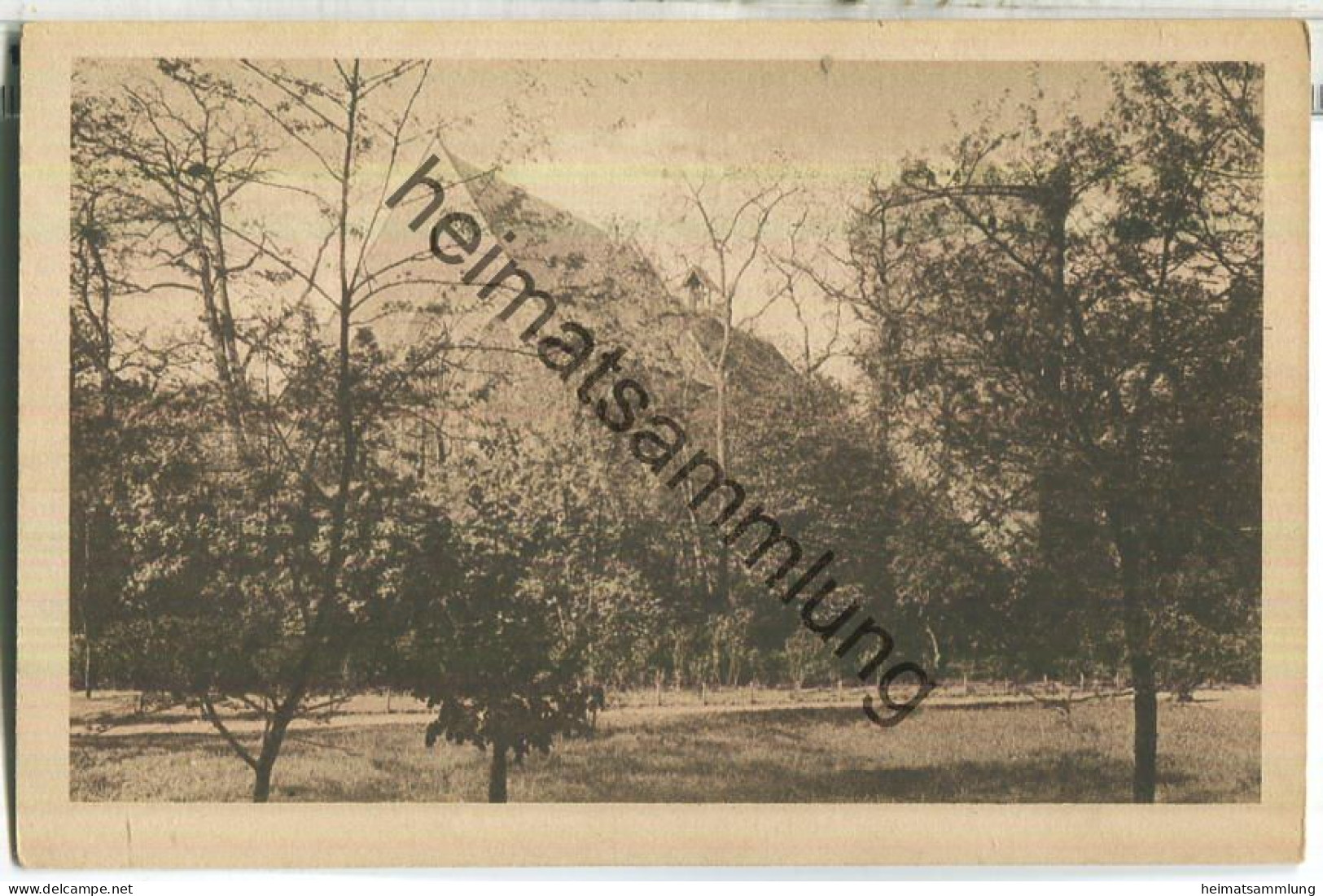 Zerbst - Francisceum - Promenadenseite