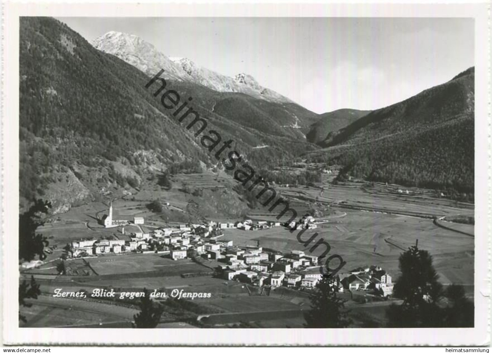 Zernez - Blick gegen den Ofenpass Foto-AK - Verlag R. Grass Zernez