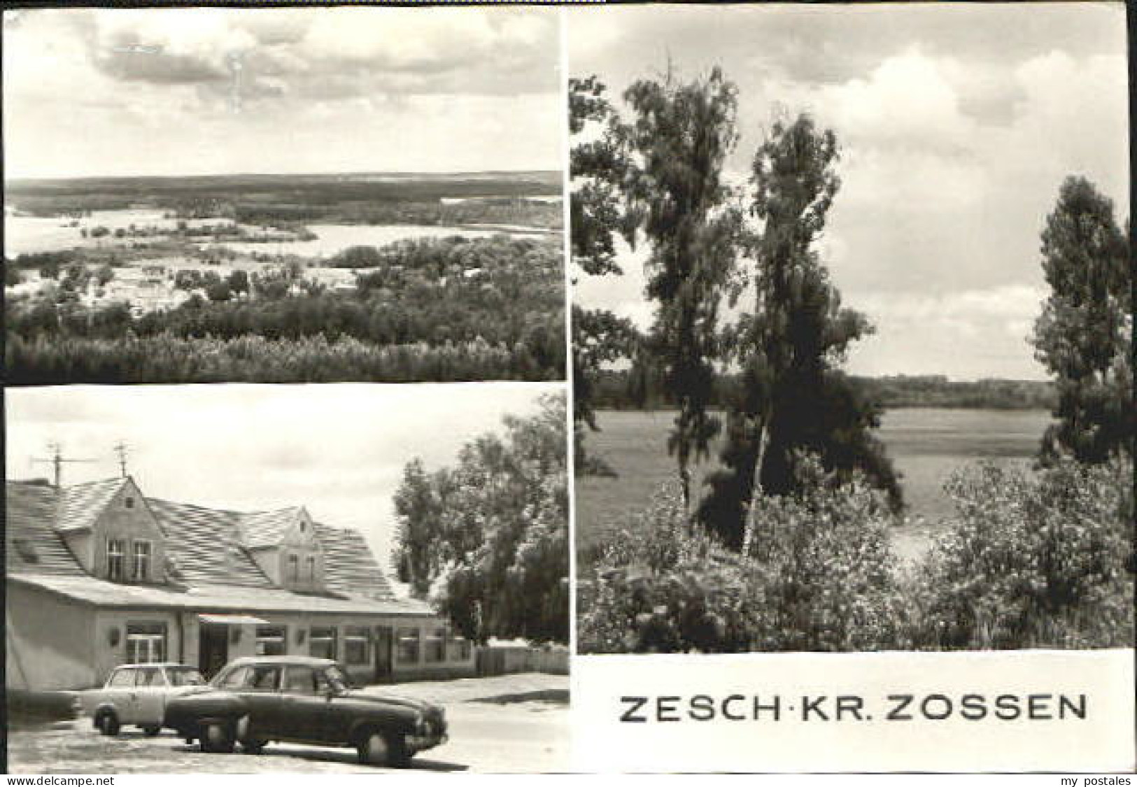 Zesch Zossen  x 1985