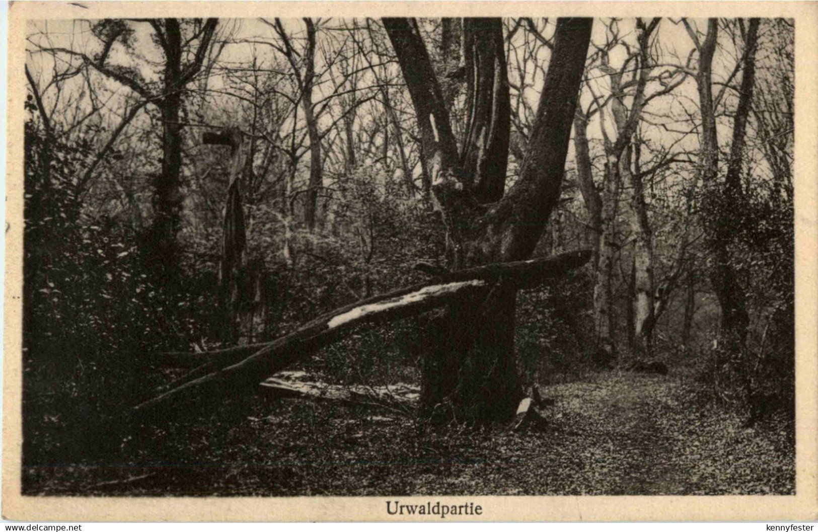 Zetel in Oldenburg - Kurhaus am Urwald