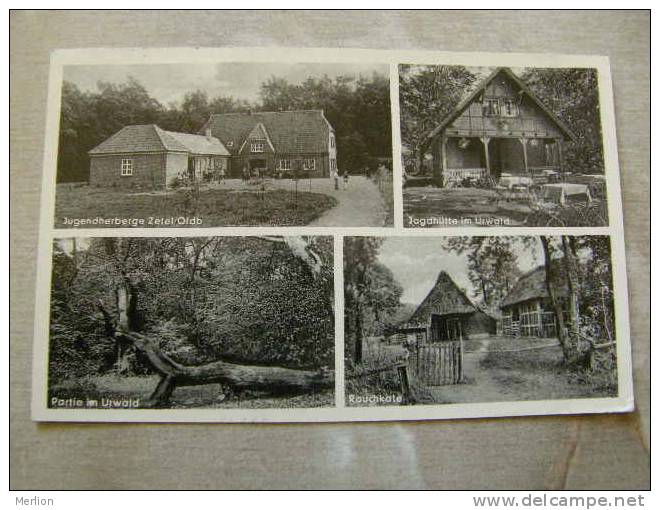 Zetel - Jugendherberge - Jagdhütte im Urwald -    D81283