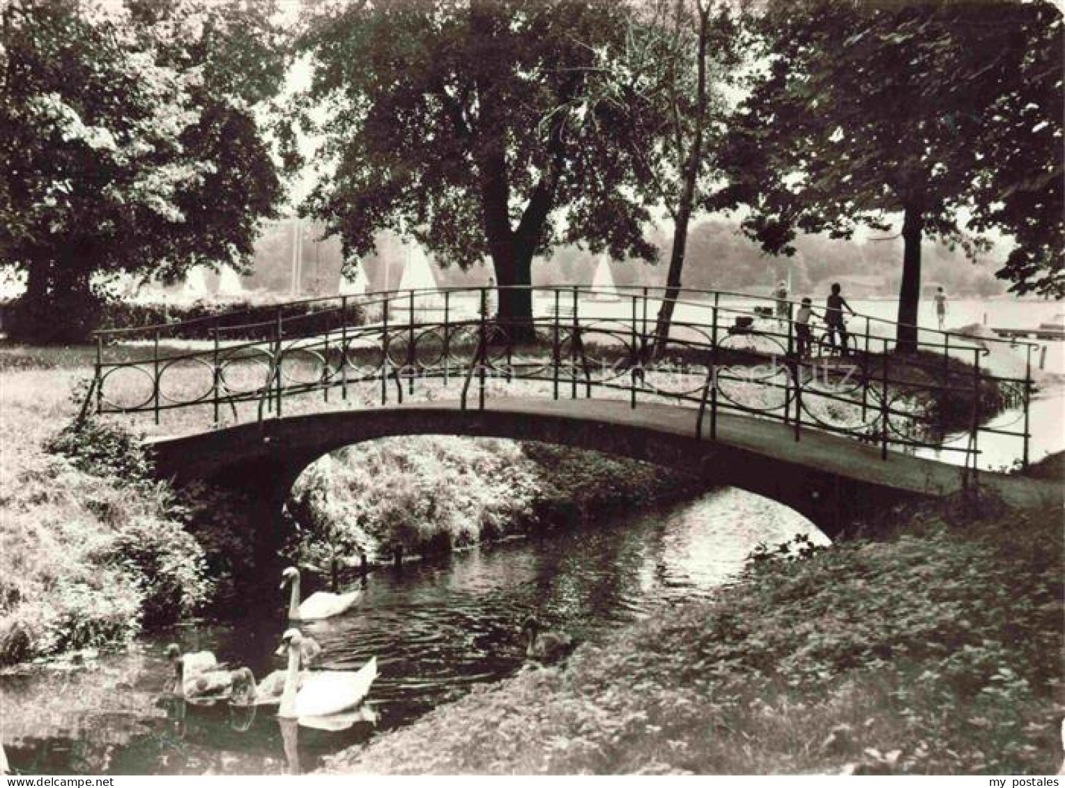 Zeuthen Dahme-Spreewald Brandenburg Zeuthener-See Bruecke Schwaene Park Fontaene