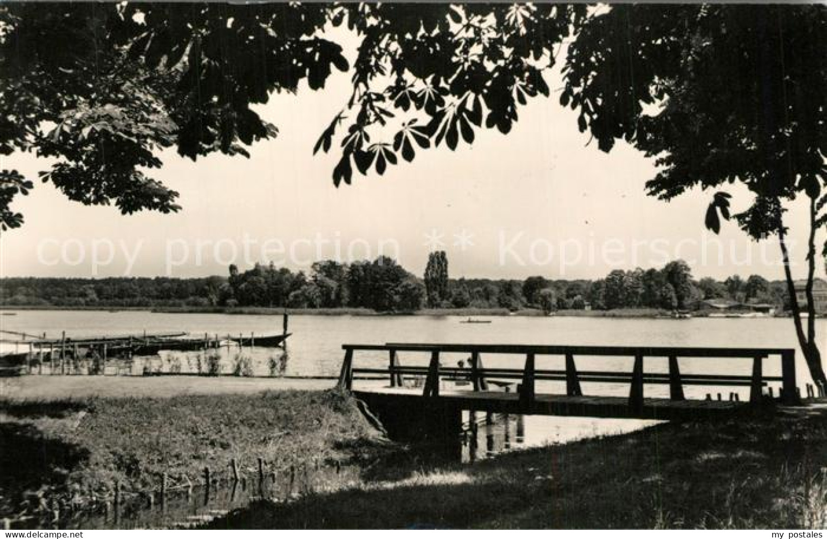 Zeuthen Partie am Zeuthener See