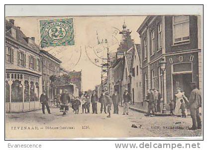 ZEVENAAR / DIDAMSCHESTRAAT  //   REF14256