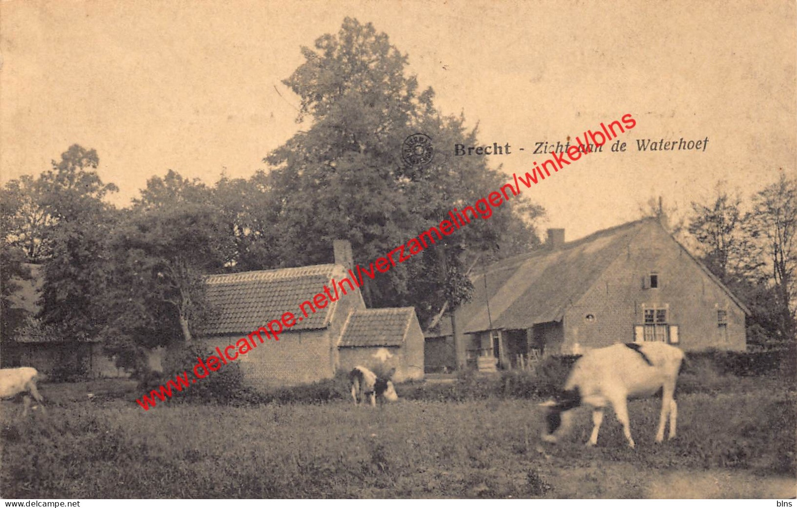 Zicht aan de Waterhoef - Brecht