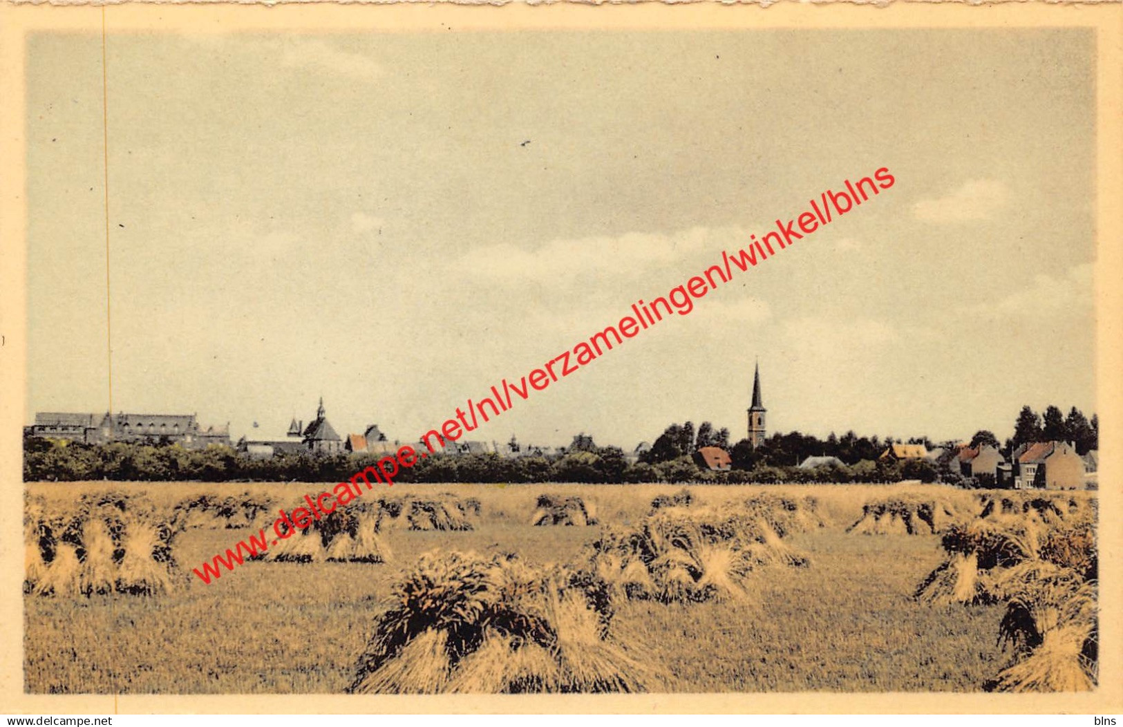 Zicht van uit het Hepperveld - Maaseik