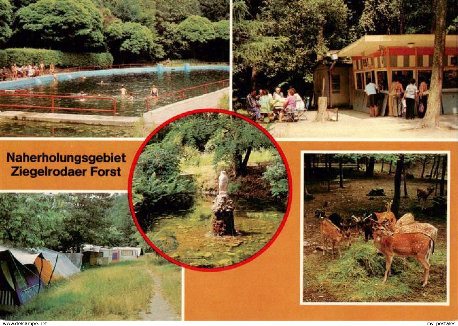 Ziegelroda Querfurt Sachsen-Anhalt Waldbad Jaegerhuette Campingplatz Heimat-Tier