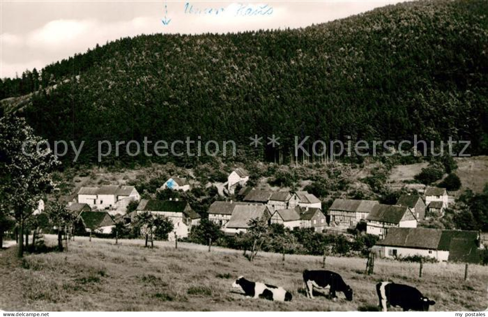 Ziegenhagen Witzenhausen Panorama