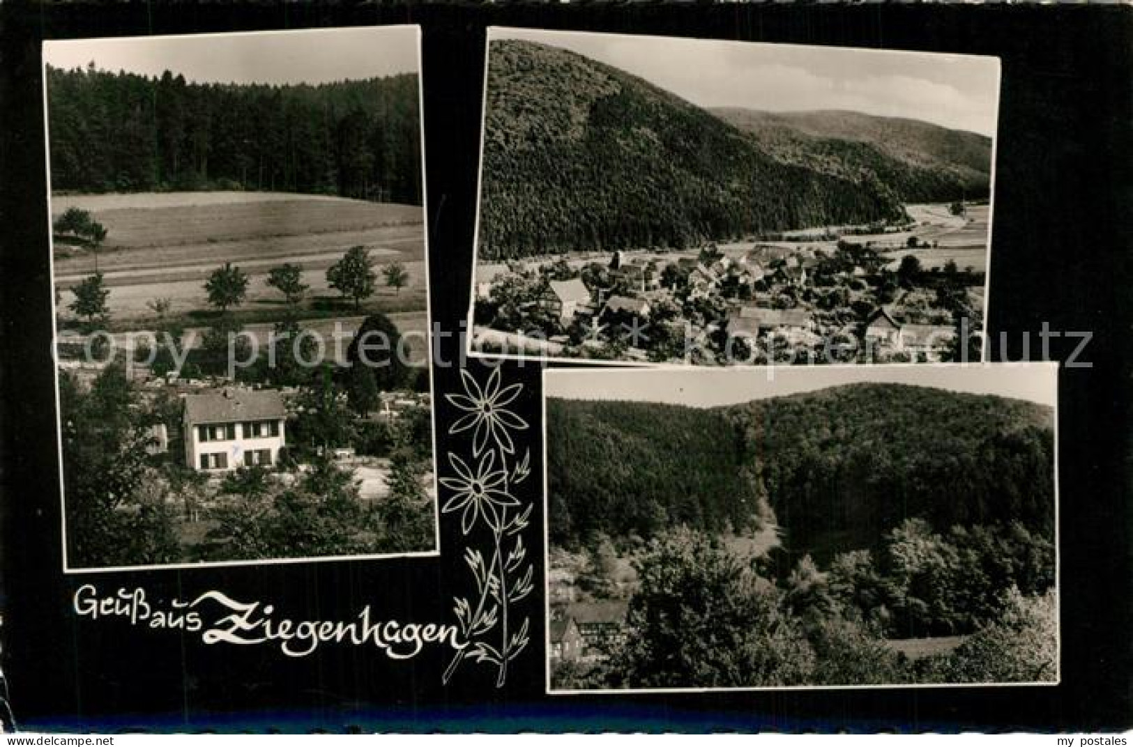 Ziegenhagen Witzenhausen Panoramen