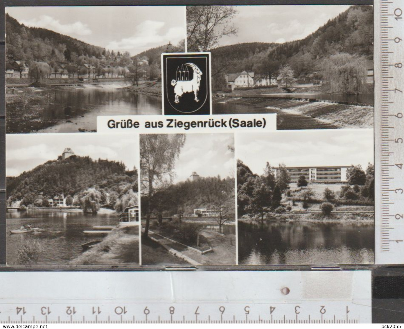 Ziegenrück Grüße aus Ziegenrück 5 Bilder nicht gelaufen ( AK 2335 )  günstige Versandkosten