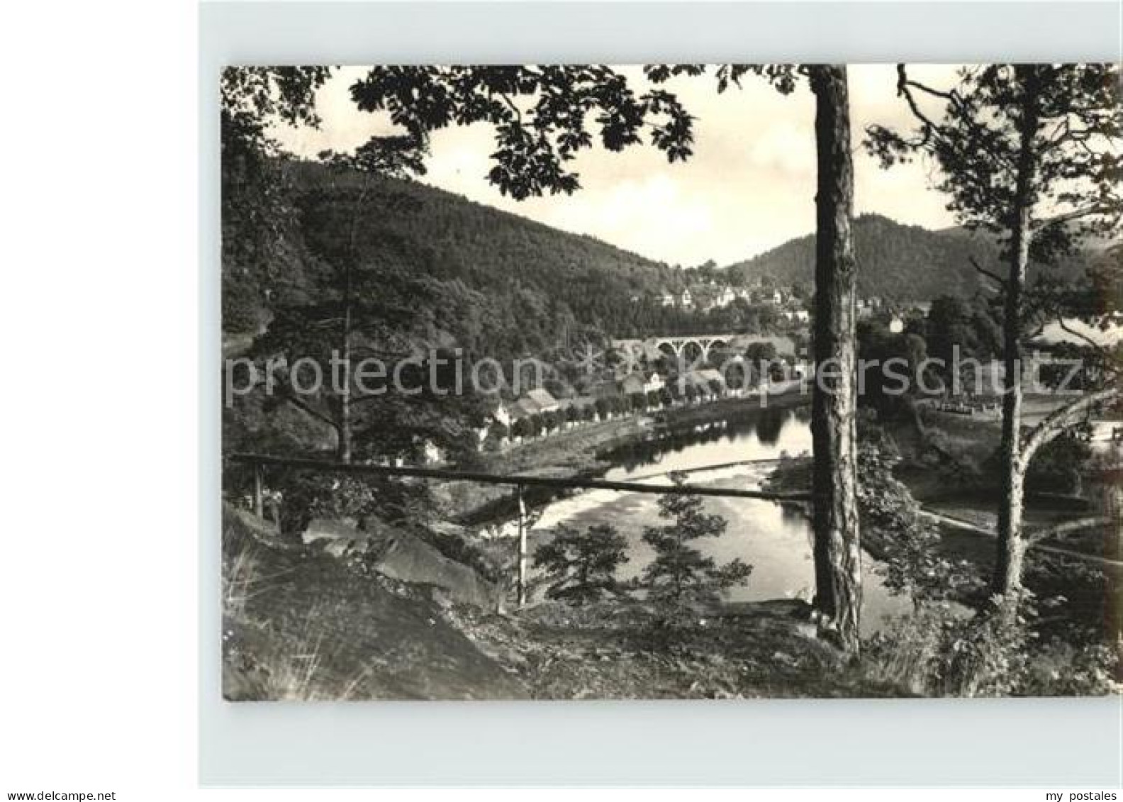 Ziegenrueck Saalepartie