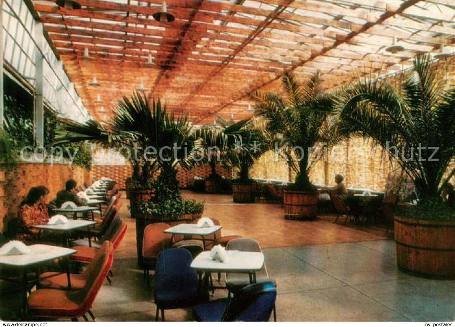 Zielona Gora Gruenberg Wnetrze kawiarni Palmiarnia