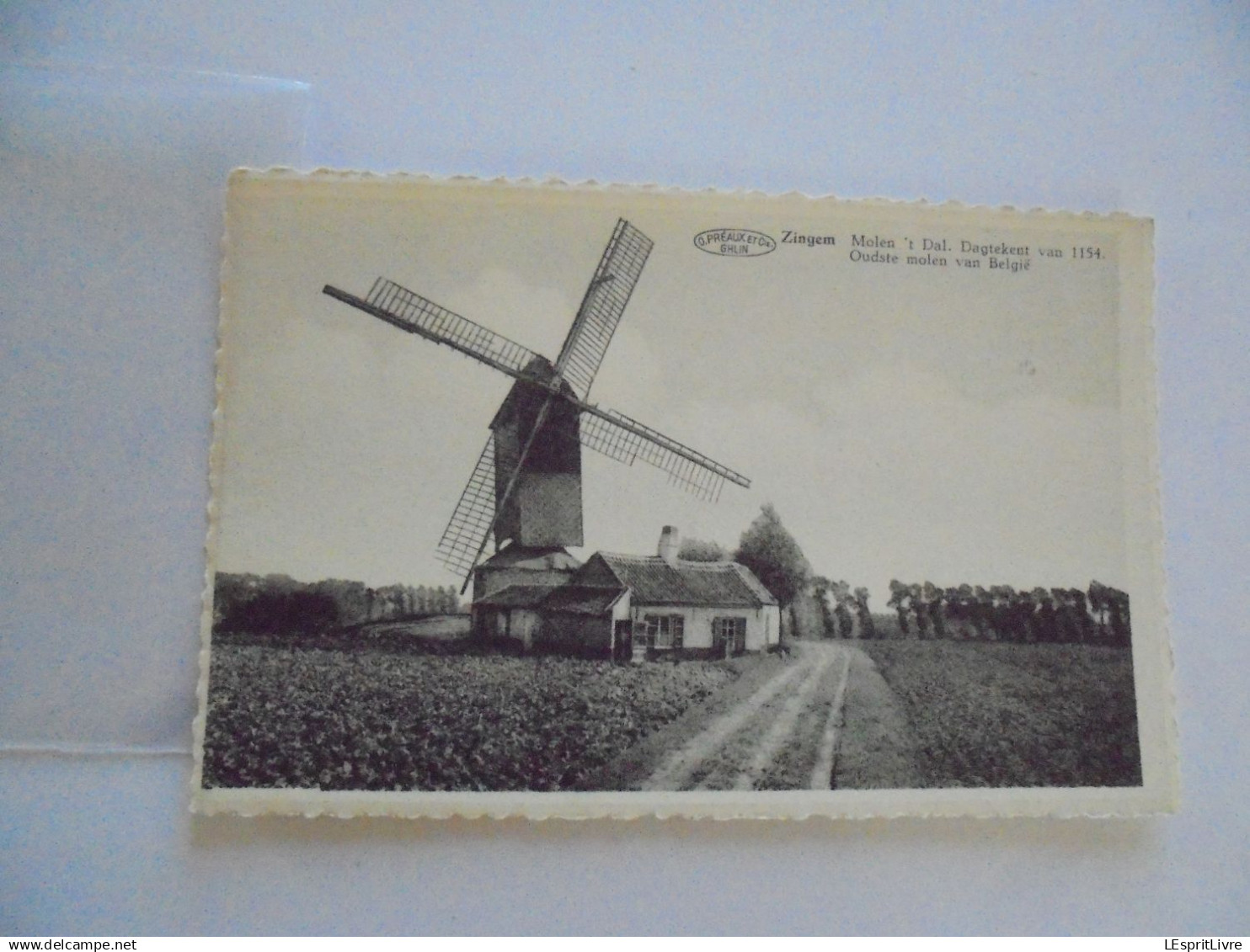 ZINGEM Molen 't Dal. Dagtekent Van 1154 udste Molen van België Moulin Carte postale PK Post Kaart Card
