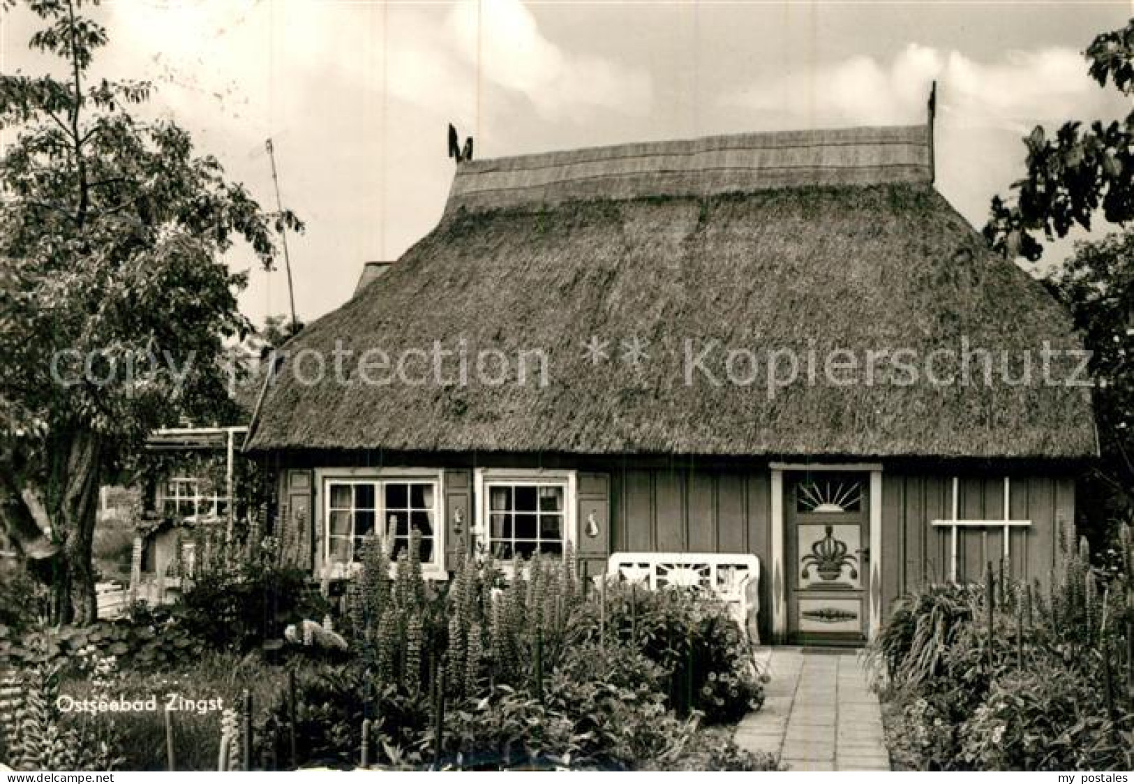 Zingst Ostseebad Reetdachhaus