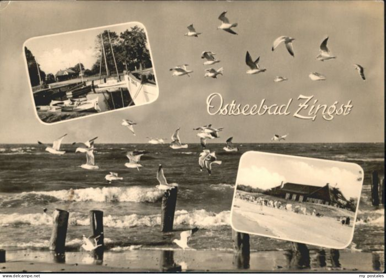 Zingst Ostseebad Zingst