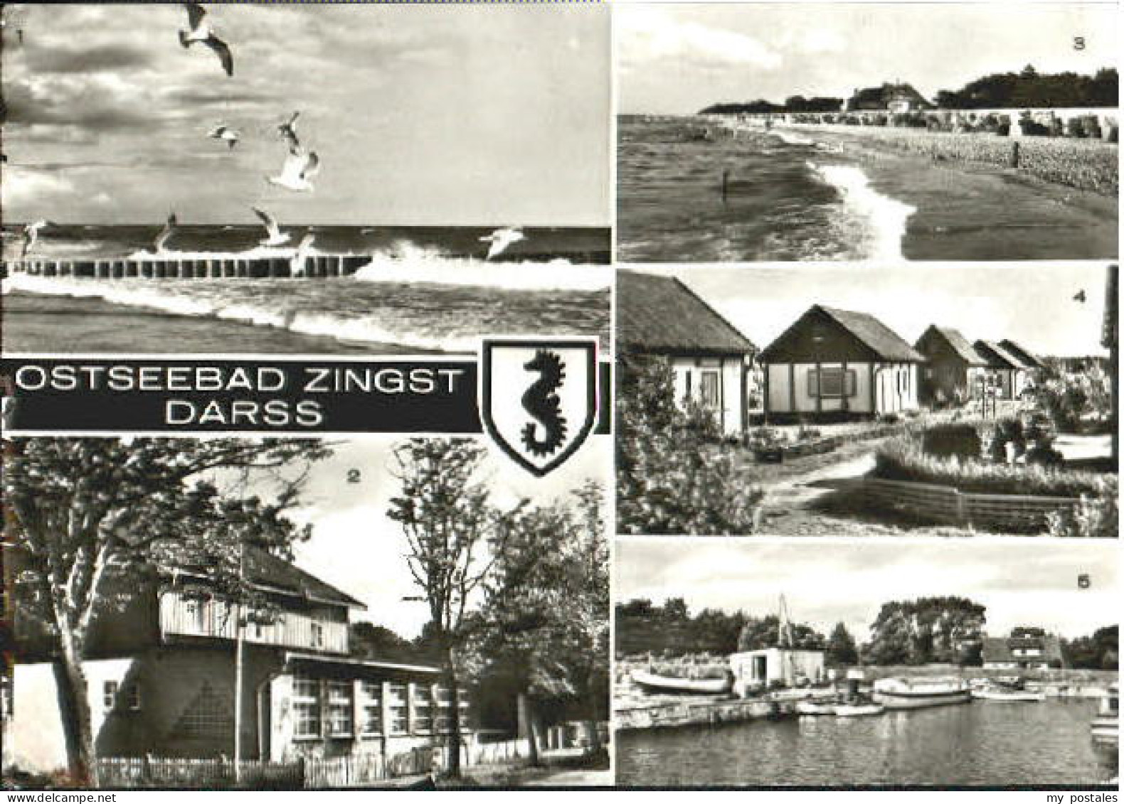 Zingst Ostseebad Zingst  x 1980