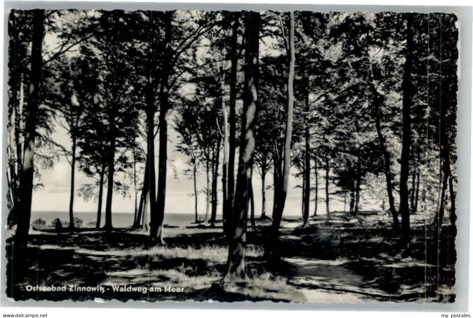 Zinnowitz Ostseebad Usedom Zinnowitz